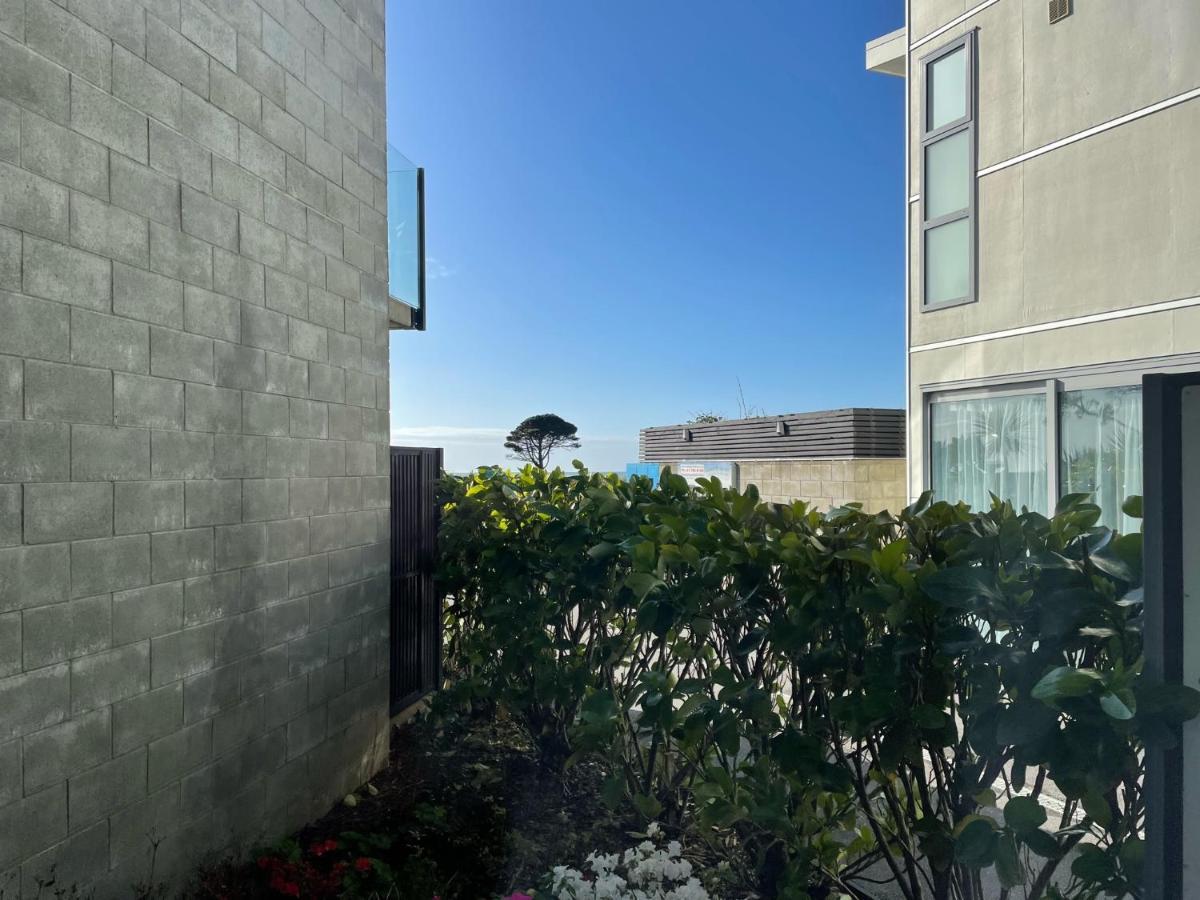 Carters By The Sea Beachside Studio Apartments Carters Beach Eksteriør billede